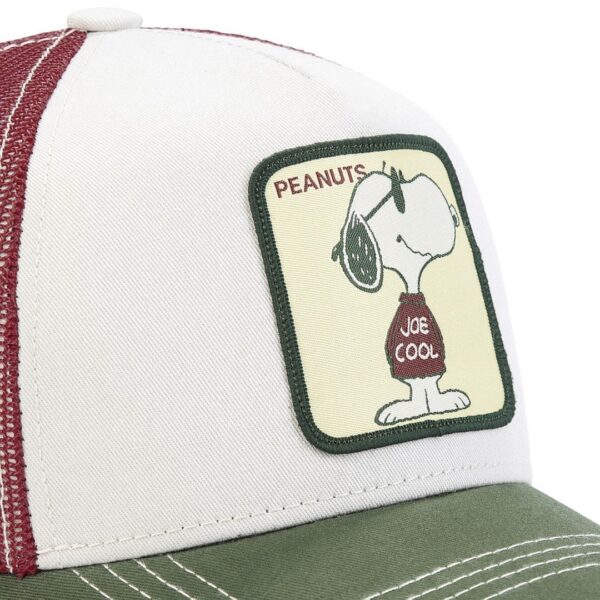 CAPSLABGorra"PEA JOE"