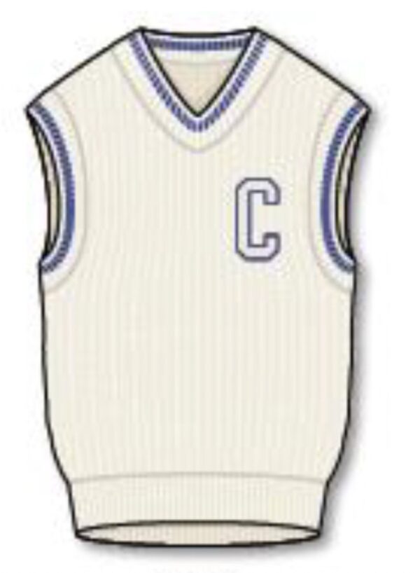 CHAMPION Chaleco punto cuello pico color verde