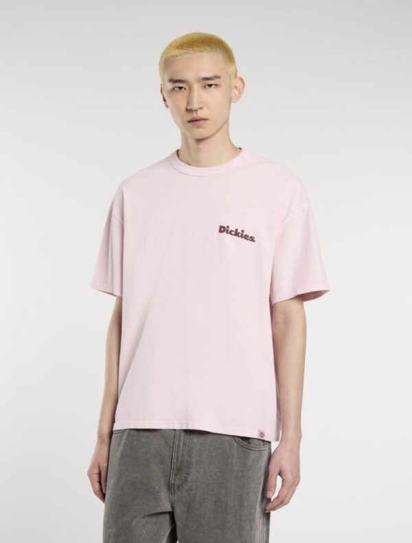 DIKIESCamiseta"SLAYDEN GD TEE SS"color rosa