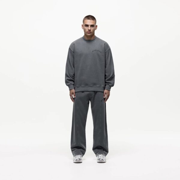 GOOD FOR NOTHING Sudadera " DESTINATION WASHED GREY SWEATSHIRT " color gris