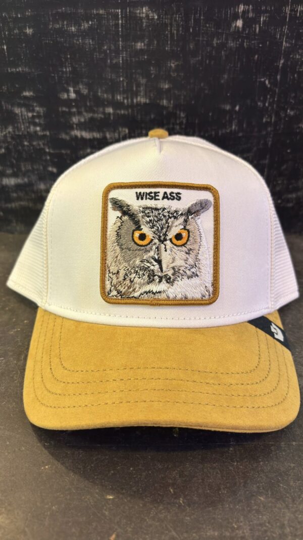 GOORINGorra Buho"WISE ASS"color camel