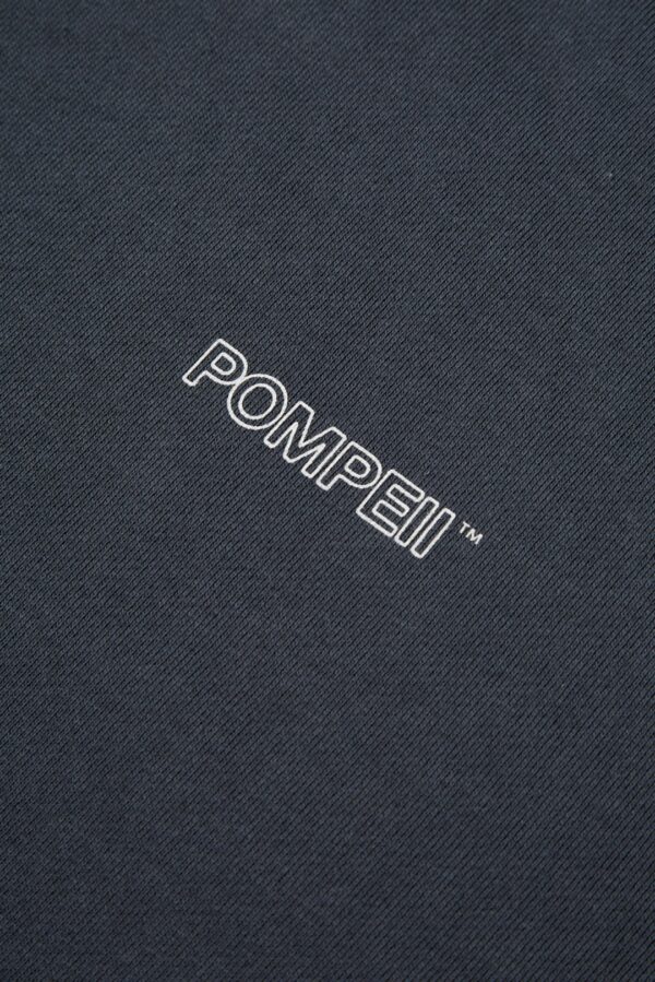 POMPEII BRAND Sudadera " SOULFUL PURSUITS MINERAL HOODIE " color marino